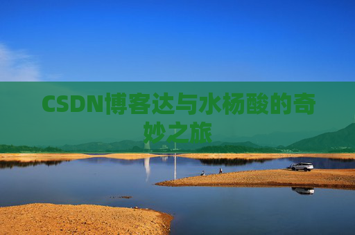 CSDN博客达与水杨酸的奇妙之旅